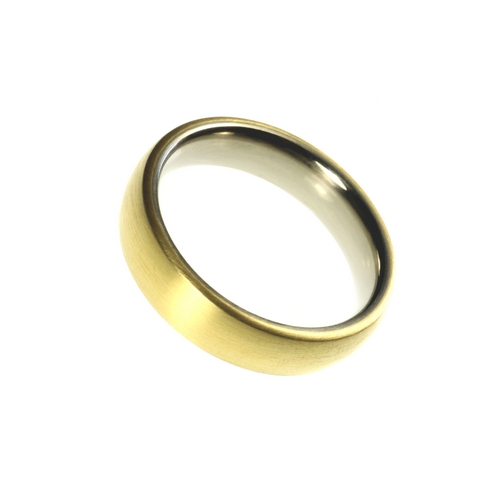 Gold & Titanium Ring