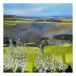 Blackhorn & Brown Fields