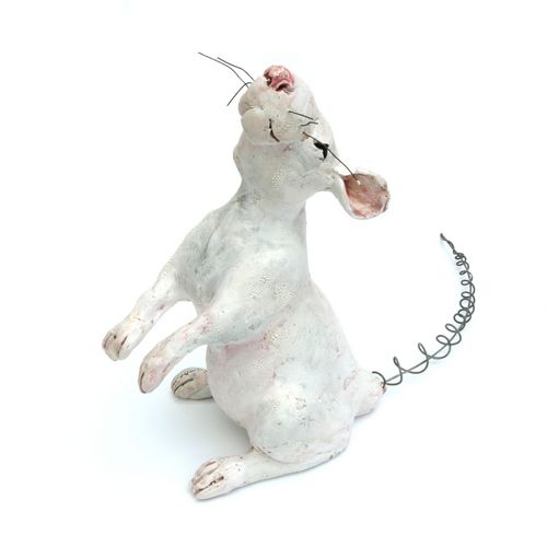 Rat