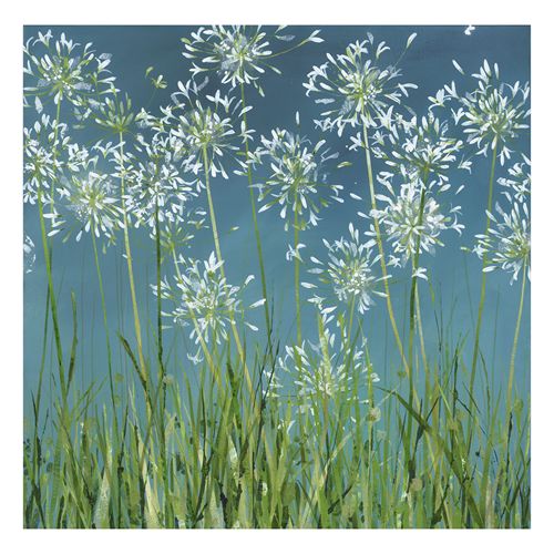 White Agapanthus