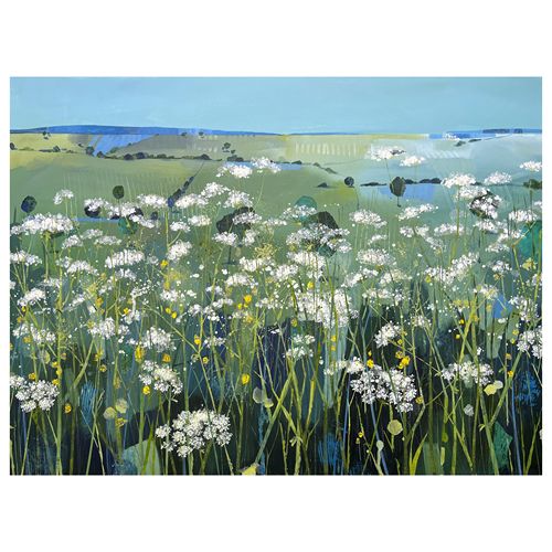May Cow Parsley
