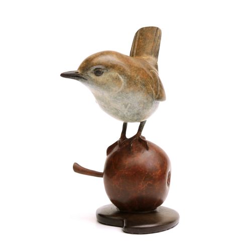 Wren on Bronze Apple