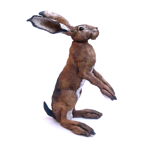 Sm Brown Hare