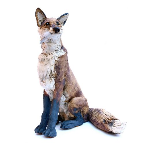 Med Sitting Fox