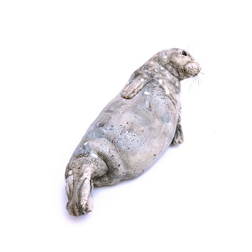 Small Seal