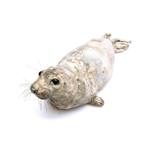 Small Seal