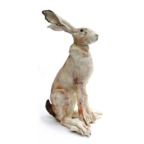 Sitting Hare
