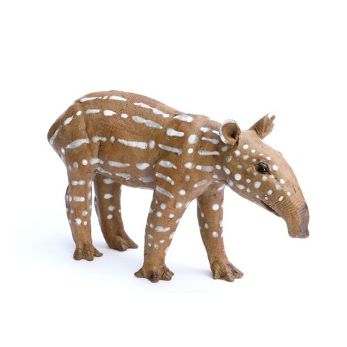 Malayan Tapir Baby