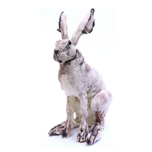Sitting Hare