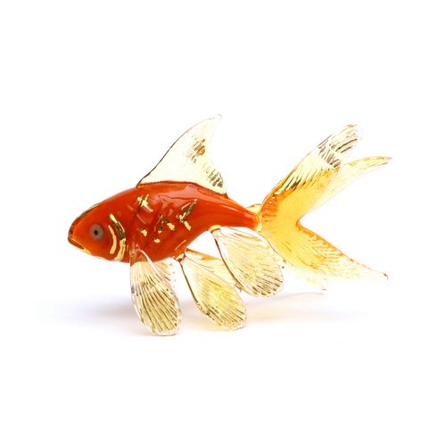 Goldfish