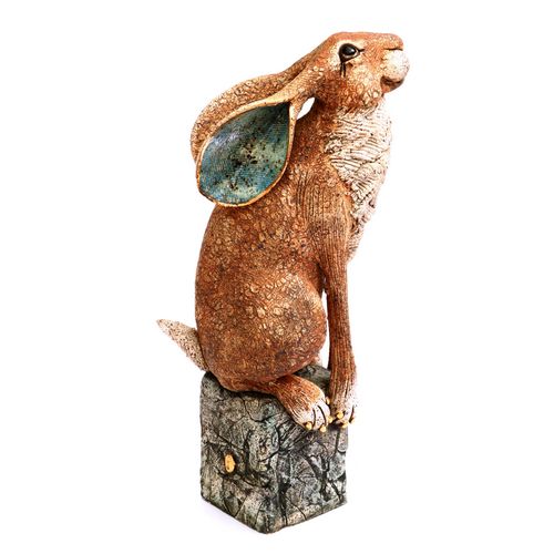 Med Sitting Hare on Block