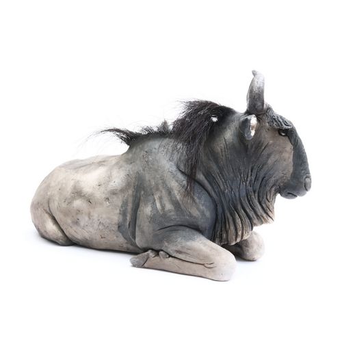 Wildebeest