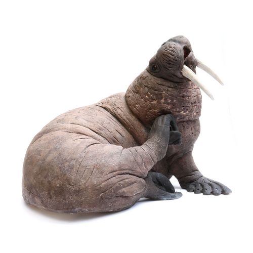 Walrus Bull