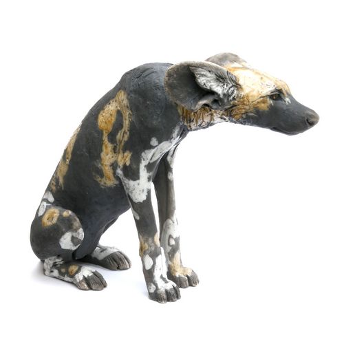 Painted Dog