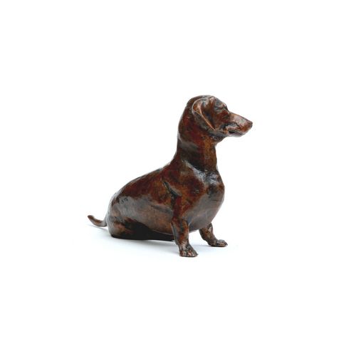 Dachshund Sitting