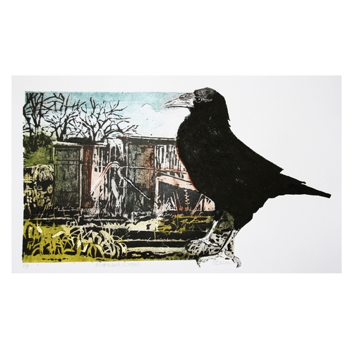 Allotment Crow (Framed)