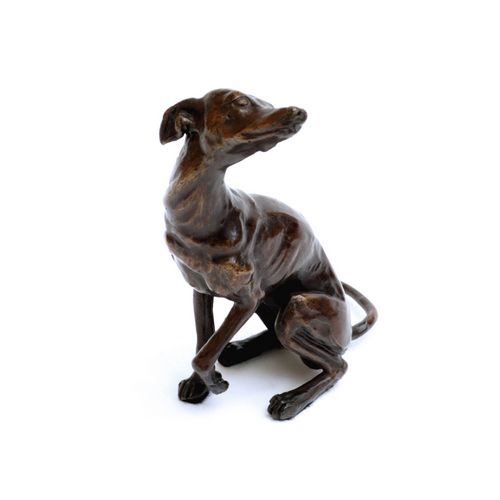 Whippet Seated