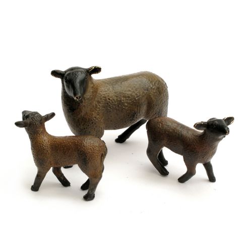 Sheep and Lambs