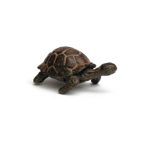 Tortoise