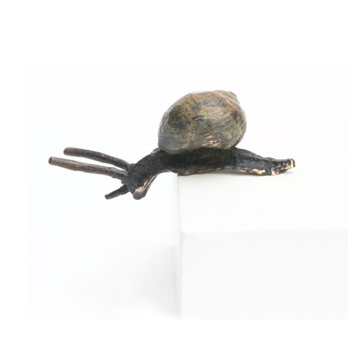 Small Descending Snail