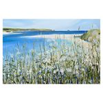 Let's Walk to Daymer Bay