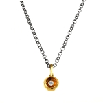 Gold Plated Pendant with Oxidized Chain