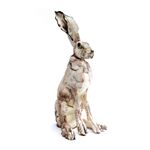 Small Hare White