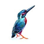 Alternative image