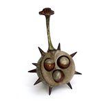 Recently-added stock item