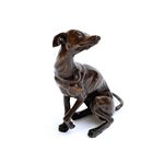 Whippet Seated